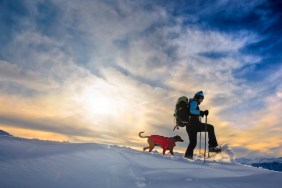 winter hiking with a dog