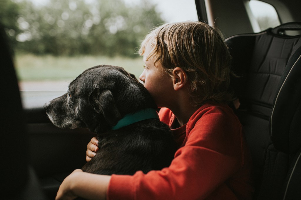 Child in booster seat in back seat of car, hugging Labrador Retriever who has a collar on, as they ride away from danger.