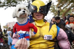 A dog and owner are seen in costume during the 28th Annual Tompkins Square Halloween Dog Parade at the East River Park Amphitheatre in New York on October 27, 2018. (Photo by TIMOTHY A. CLARY / AFP)